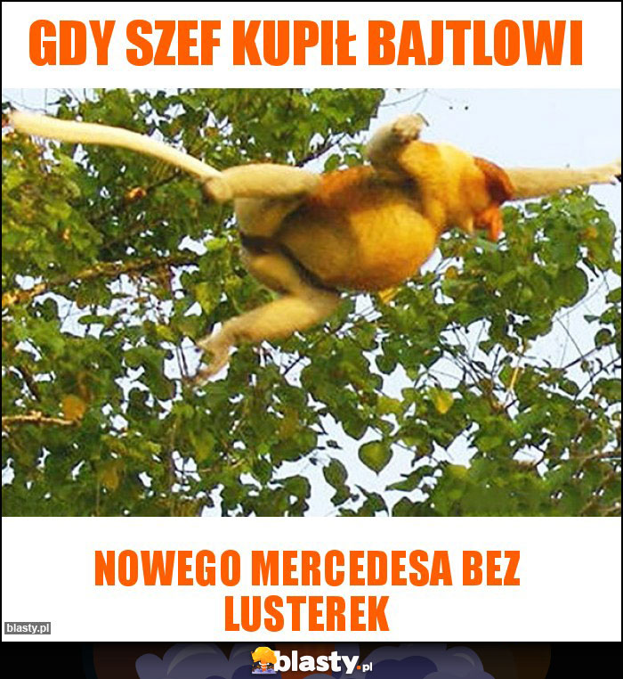 Gdy szef kupił Bajtlowi Gdy szef kupił Bajtlowi