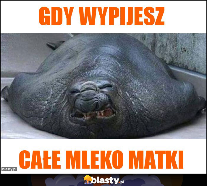 Gdy wypijesz Gdy wypijesz