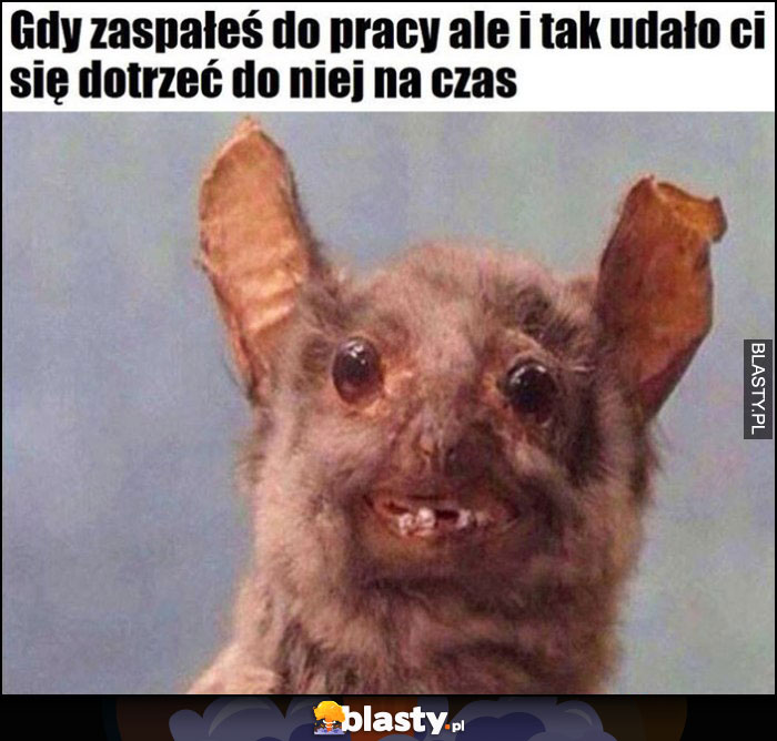 Gdy zaspałeś do pracy ale i tak udało Ci się dotrzeć na czas