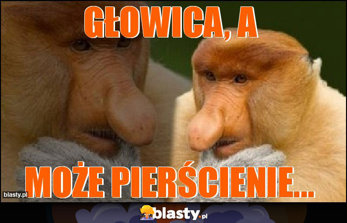 Głowica, a Głowica, a