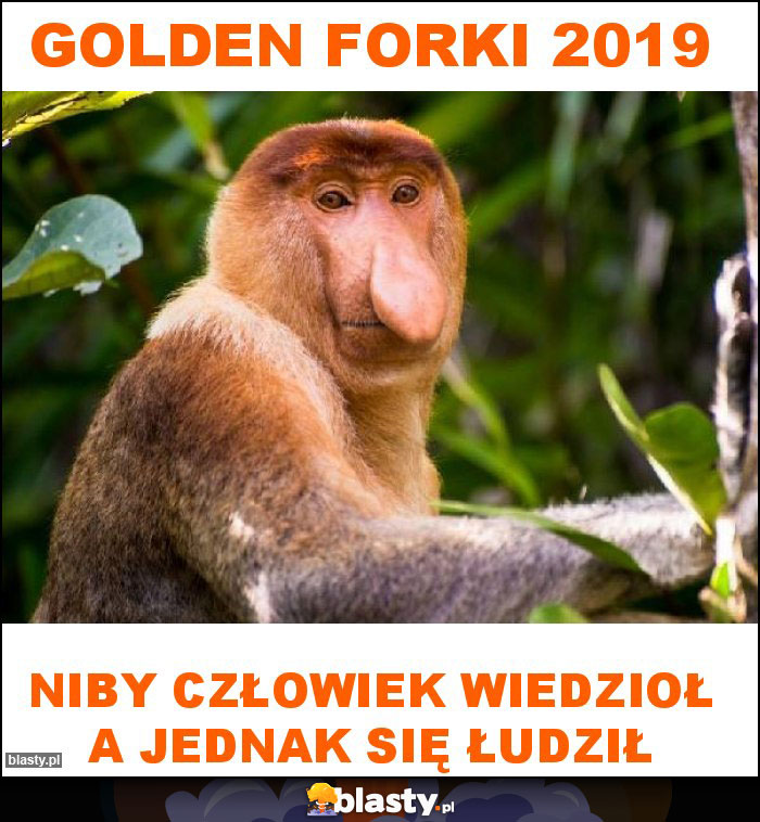 Golden forki 2019 Golden forki 2019