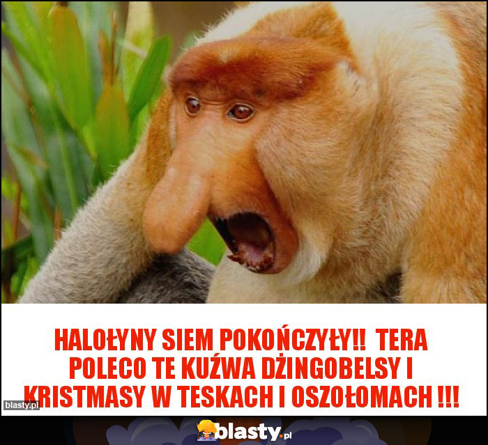 Halołyny siem pokończyły!! Tera poleco te kuźwa dżingobelsy i kristmasy w teskach i oszołomach !!! Halołyny siem pokończyły!! Tera poleco te kuźwa dżingobelsy i kristmasy w teskach i oszołomach !!!