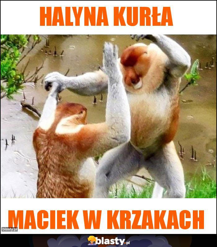 Halyna kurła Halyna kurła