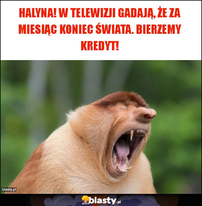 Halyna! W telewizji gadają, że za miesiąc koniec świata. Bierzemy kredyt! Halyna! W telewizji gadają, że za miesiąc koniec świata. Bierzemy kredyt!