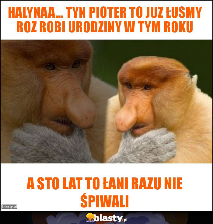Halynaa... Tyn pioter to juz łusmy roz robi urodziny w tym roku Halynaa... Tyn pioter to juz łusmy roz robi urodziny w tym roku