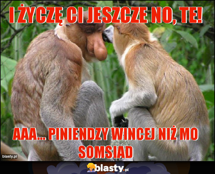 I życzę ci jeszcze no, te! I życzę ci jeszcze no, te!