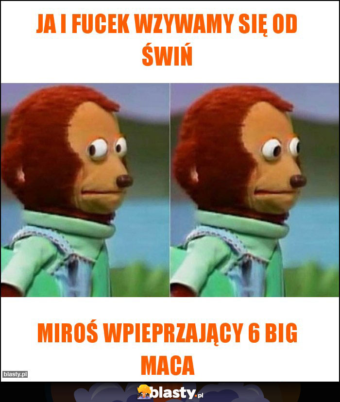 Ja i Fucek wzywamy się od świń Ja i Fucek wzywamy się od świń