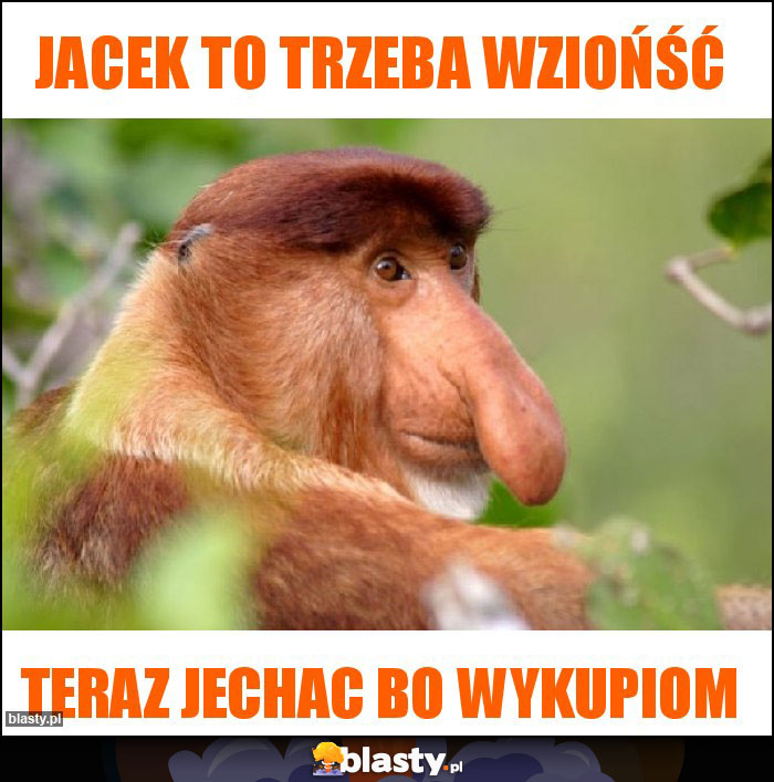 Jacek to trzeba wziońść Jacek to trzeba wziońść