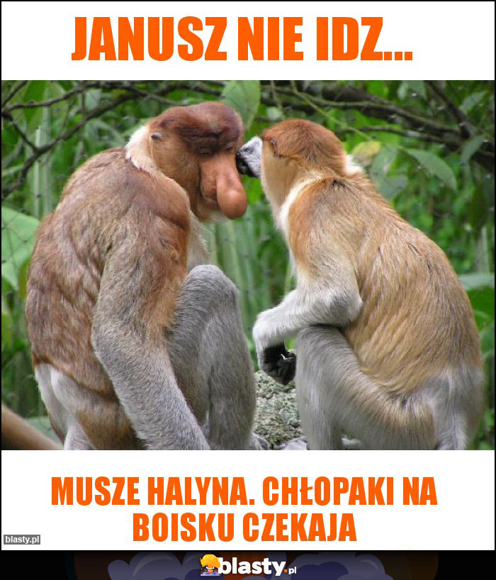 Janusz nie idz... Janusz nie idz...