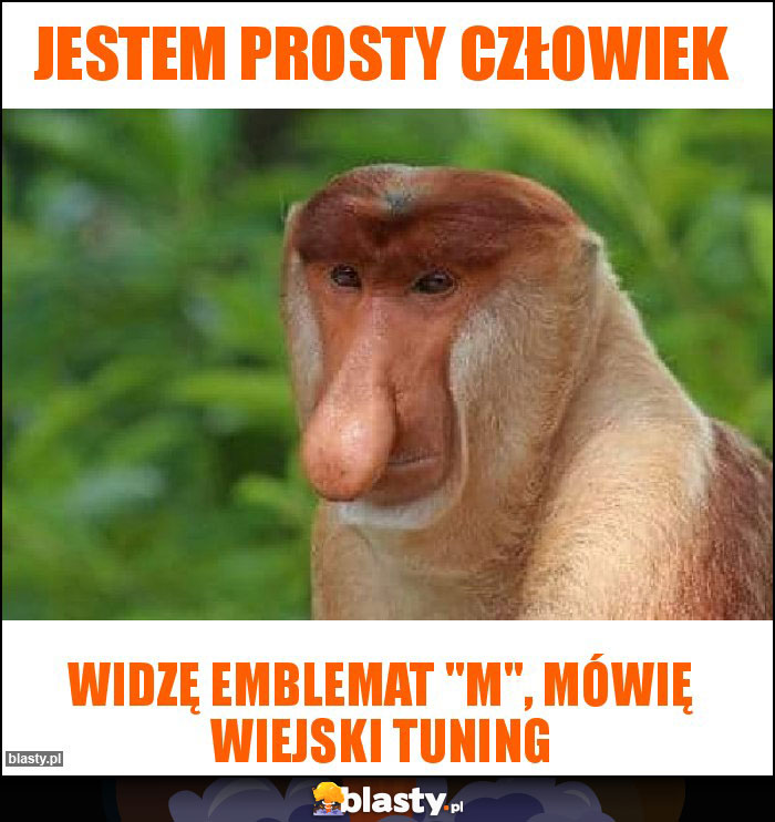 Jestem prosty człowiek Jestem prosty człowiek