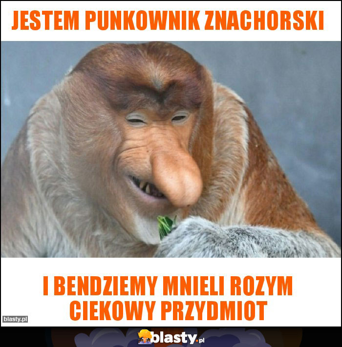 Jestem punkownik znachorski Jestem punkownik znachorski