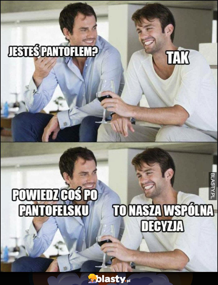 Jesteś pantoflem? Tak. Powiedz coś po pantofelsku, to nasza wspólna decyzja