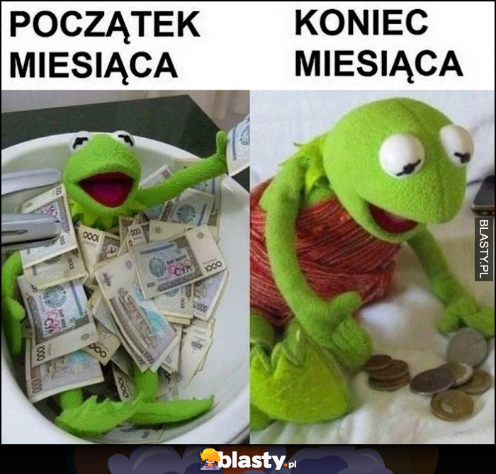 Kermit początek miesiąca kąpie się w hajsie, koniec miesiąca liczy drobne