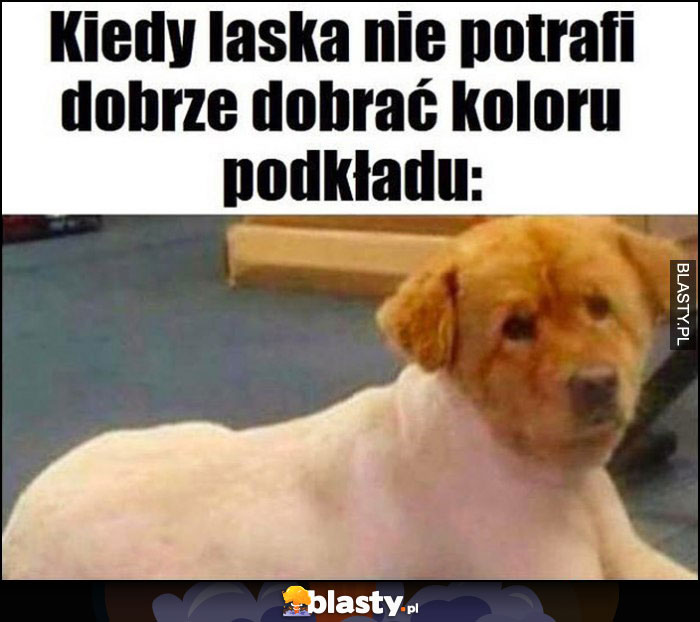 Kiedy laska nie potrafi dobrze dobrać koloru podkładu