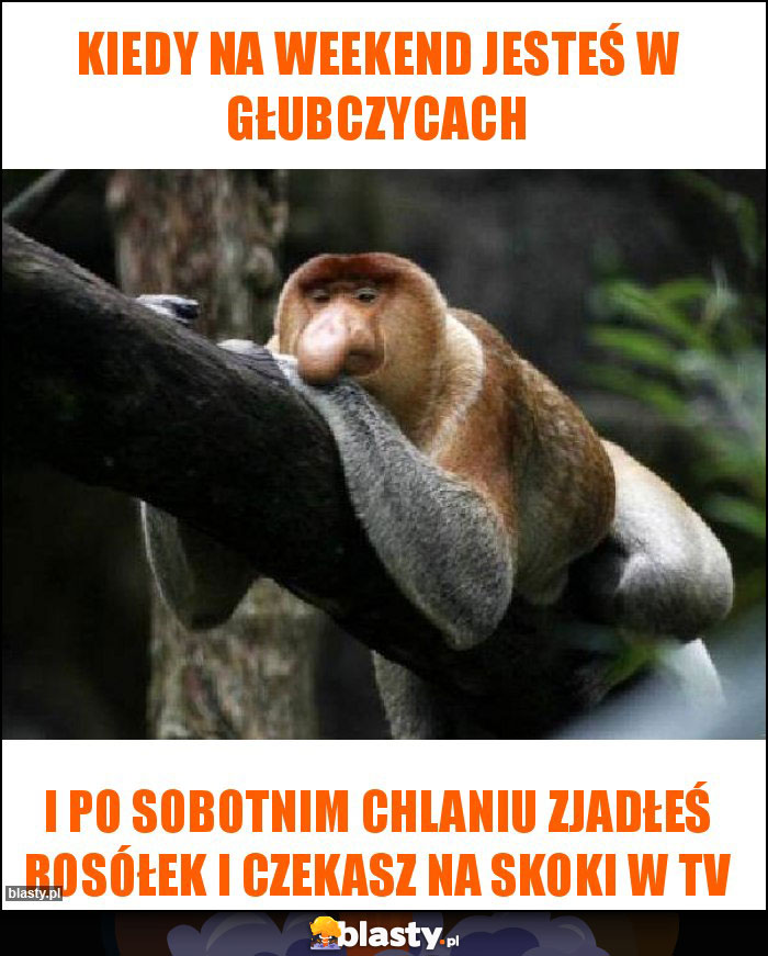 Kiedy na weekend jesteś w Głubczycach Kiedy na weekend jesteś w Głubczycach