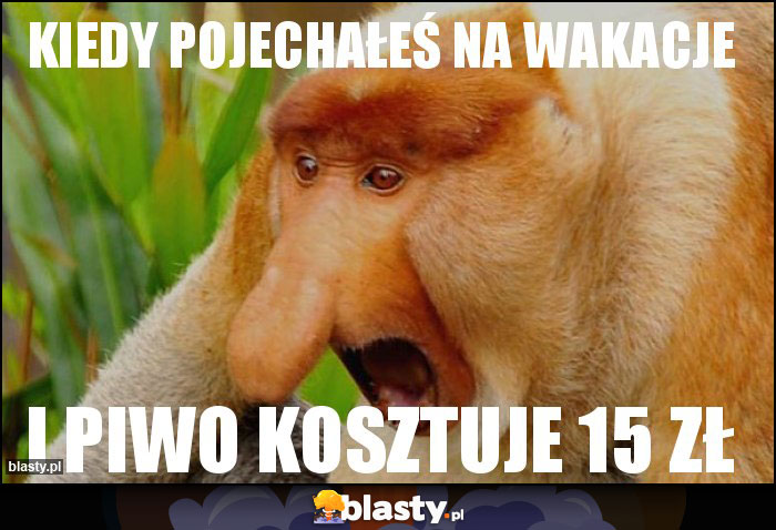 kiedy pojechałeś na wakacje kiedy pojechałeś na wakacje