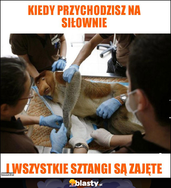 Kiedy przychodzisz na siłownie Kiedy przychodzisz na siłownie