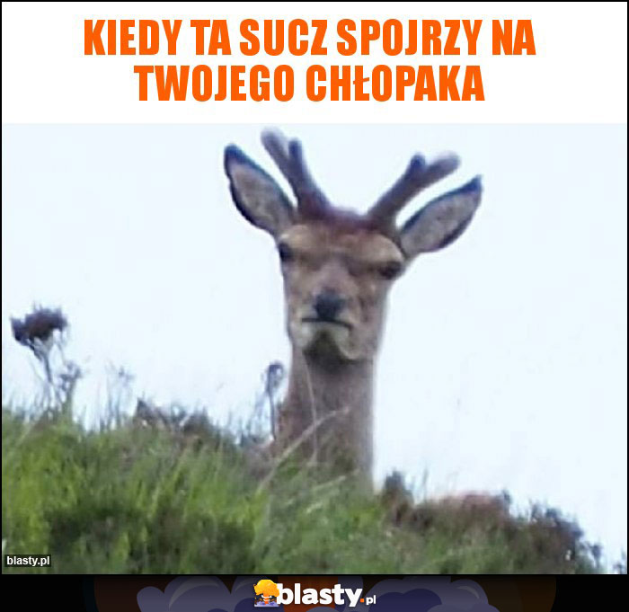 Kiedy ta sucz spojrzy na twojego chłopaka Kiedy ta sucz spojrzy na twojego chłopaka