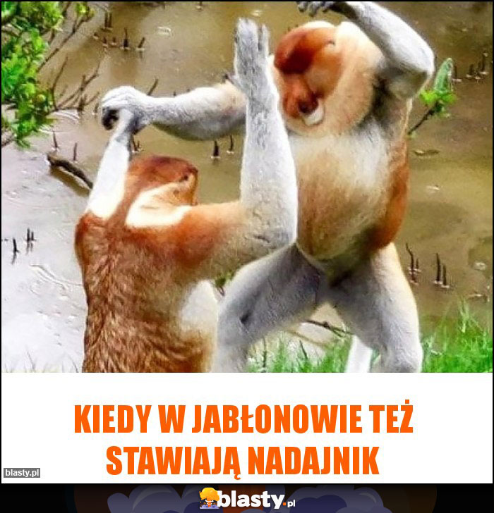 kiedy w jabłonowie też stawiają nadajnik