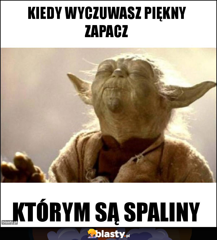 Kiedy wyczuwasz piękny zapacz Kiedy wyczuwasz piękny zapacz