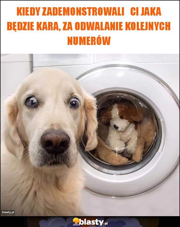 Kiedy zademonstrowali Ci jaka będzie kara, za odwalanie kolejnych numerów Kiedy zademonstrowali Ci jaka będzie kara, za odwalanie kolejnych numerów