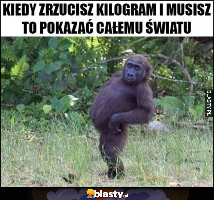 Kiedy zrzucisz kilogram i musisz to pokazać całemu światu małpa