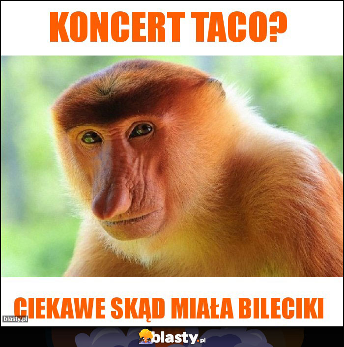 Koncert Taco?