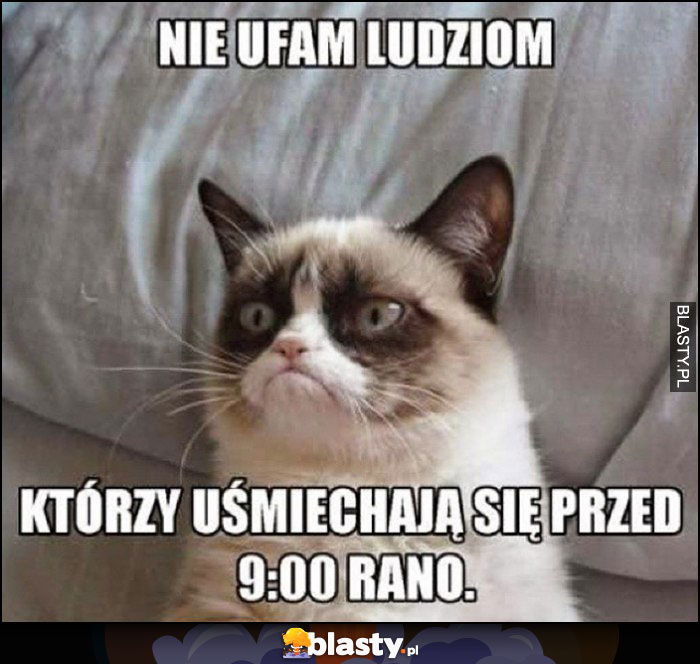 Kot nie ufam ludziom, którzy uśmiechają się przed 9:00 rano