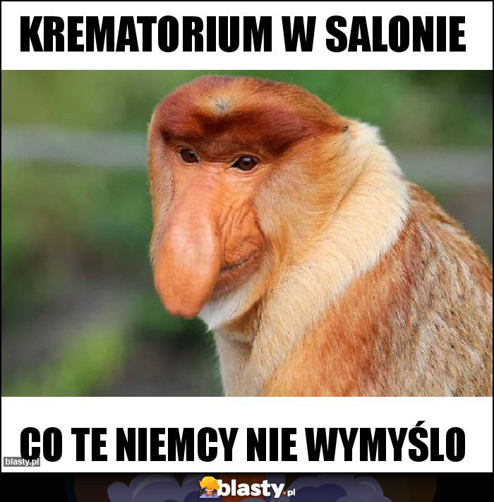krematorium w salonie krematorium w salonie