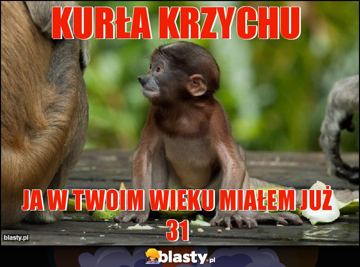 Kurła Krzychu Kurła Krzychu