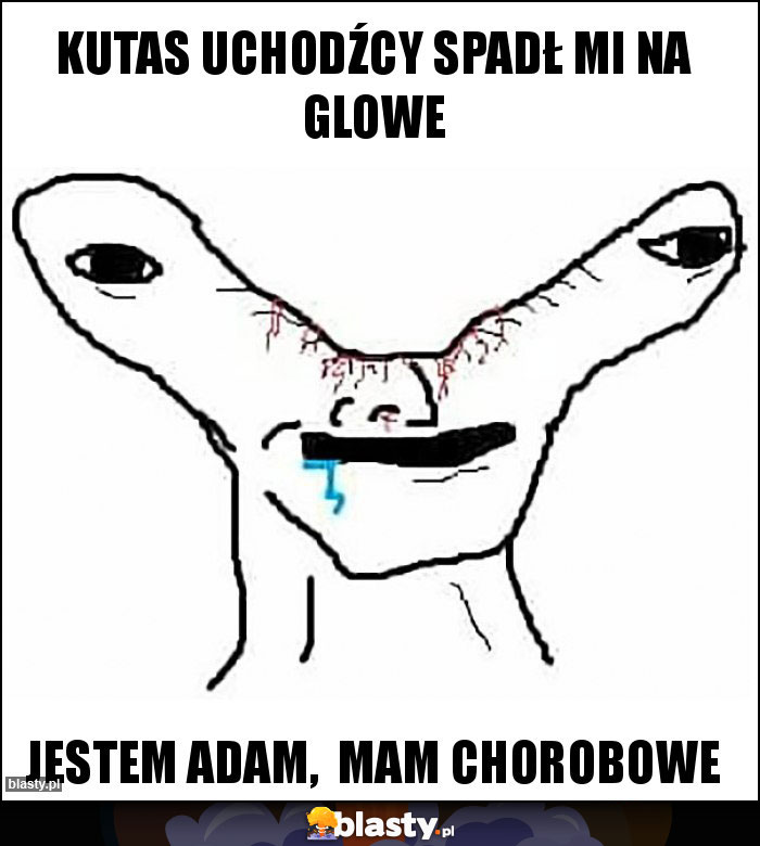 Kutas uchodźcy spadł mi na glowe Kutas uchodźcy spadł mi na glowe