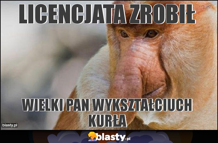 Licencjata zrobił Licencjata zrobił