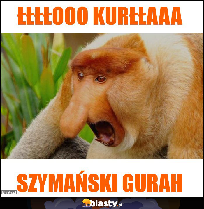 ŁŁŁŁOOO kurłłaaa ŁŁŁŁOOO kurłłaaa