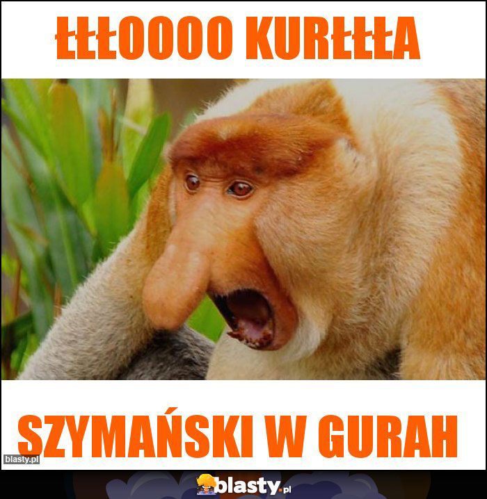 ŁŁŁoooo Kurłłła ŁŁŁoooo Kurłłła