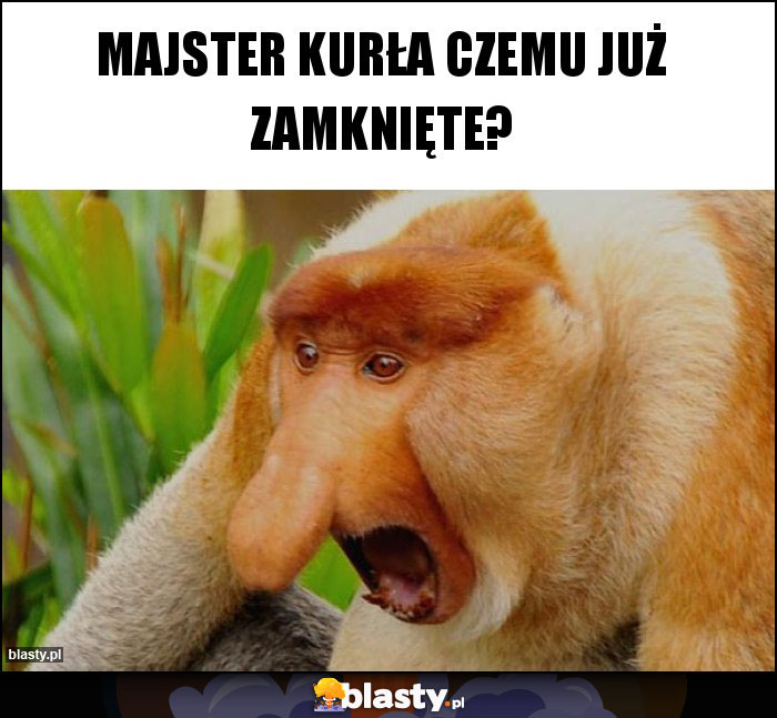 Majster kurła czemu już zamknięte?