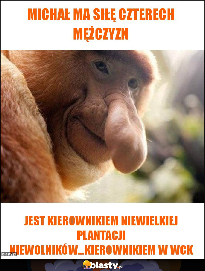 MICHAŁ MA SIŁĘ CZTERECH MĘŻCZYZN MICHAŁ MA SIŁĘ CZTERECH MĘŻCZYZN