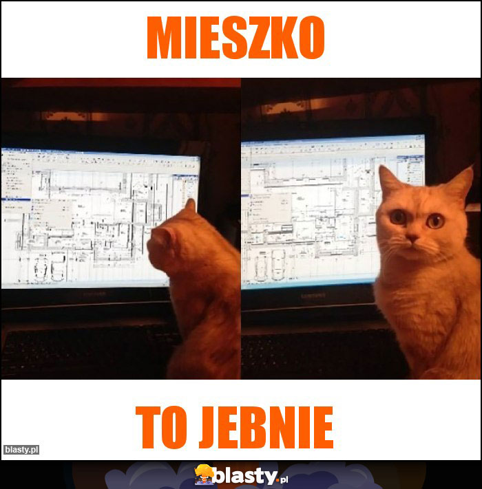 Mieszko