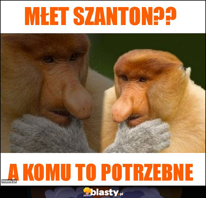 MŁET SZANTON?? MŁET SZANTON??