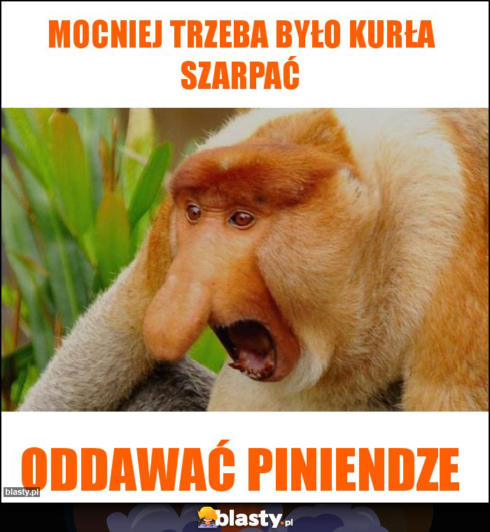 Mocniej trzeba było kurła szarpać Mocniej trzeba było kurła szarpać
