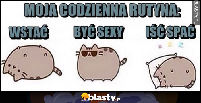 Moja codzienna rutyna: wstać, być sexy, iść spać kot Pusheen