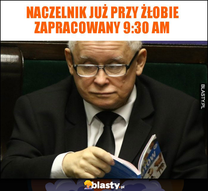 naczelnik już przy żłobie zapracowany 9:30 am naczelnik już przy żłobie zapracowany 9:30 am