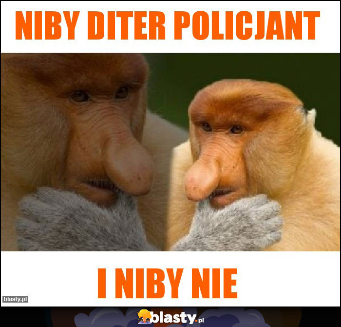 Niby Diter policjant Niby Diter policjant