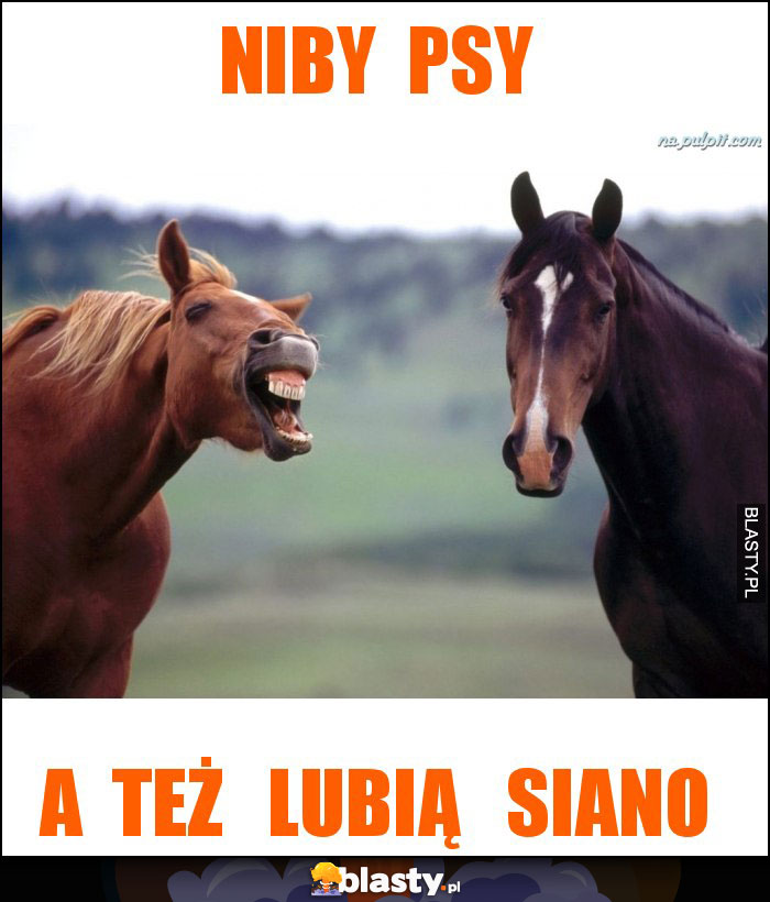 niby  psy