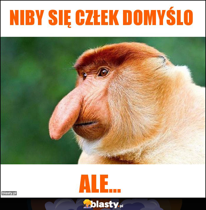 Niby się człek domyślo Niby się człek domyślo