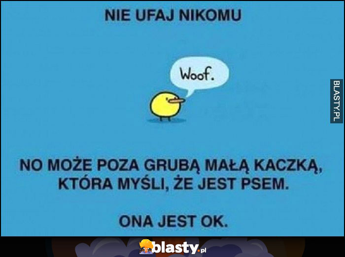 Nie ufaj nikomu no może poza grubą małą kaczką, która myśli, że jest psem, ona jest ok