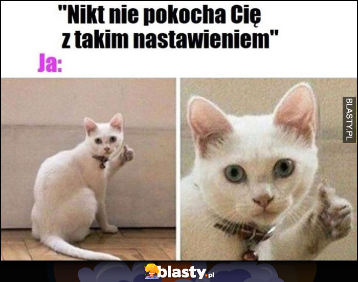 Nikt nie pokocha Cię z takim nastawieniem, ja: kot z kciukiem w górę