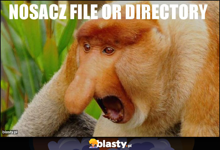 NOSACZ FILE OR DIRECTORY NOSACZ FILE OR DIRECTORY
