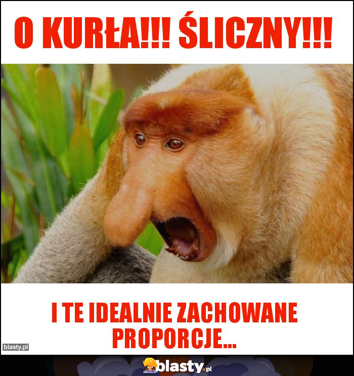 O kurła!!! śliczny!!!