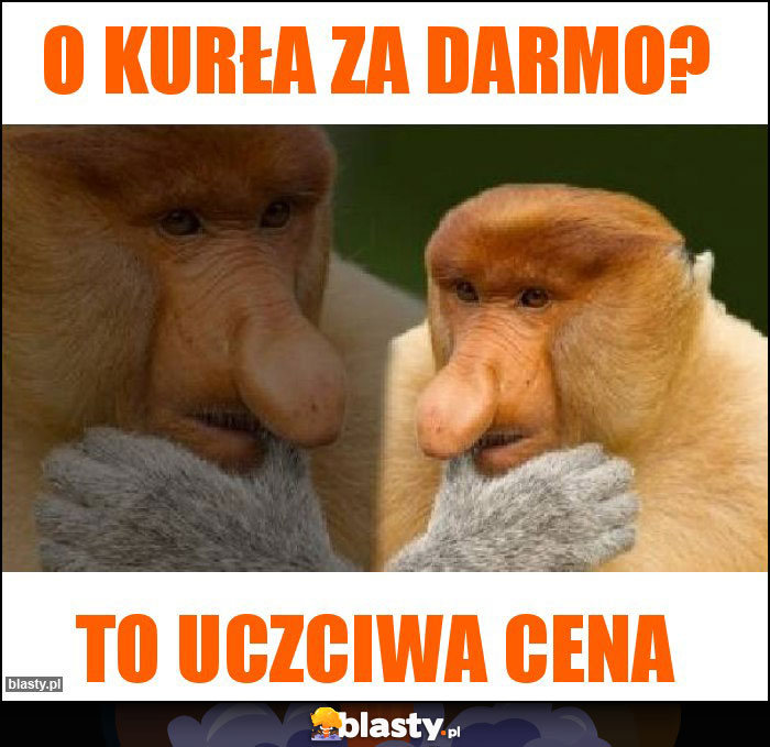 O kurła za darmo? O kurła za darmo?