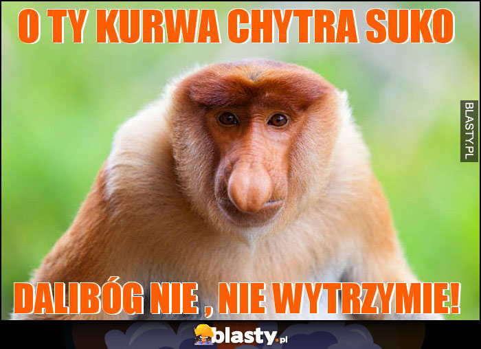 O ty kurwa chytra suko O ty kurwa chytra suko